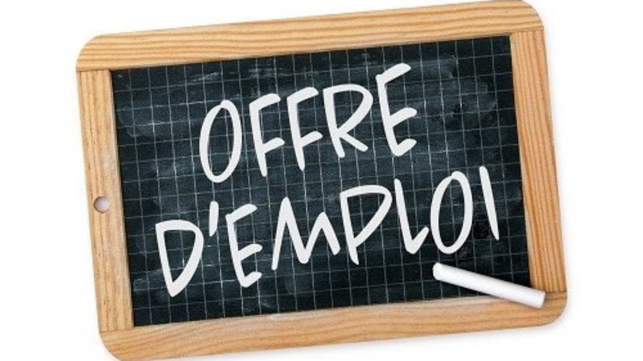 368b9c2c8aff9deff0be27a865d87a4e_offre-demp